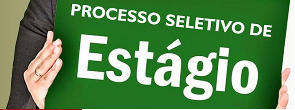 ProcessoSeletivoEstagio