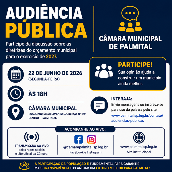 audienciapublicapalmitalinterno